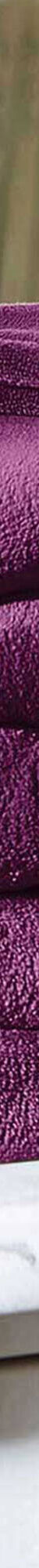 Couverture microfibre (prune) Couverture microfibre (prune)